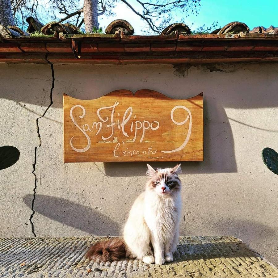 Villa San Filippo Ареццо Екстер'єр фото